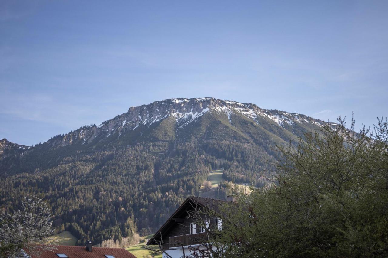 Haus Bergliebe - Zugspitzblick Pfronten Dış mekan fotoğraf